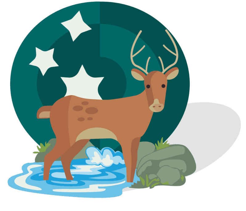 map pin icon of a deer standing in water.