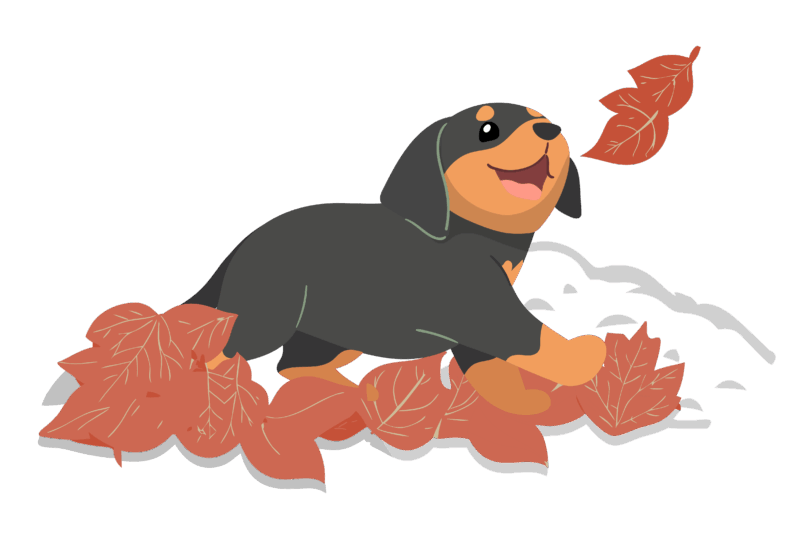Illustrated dog lying on autumn leaves.