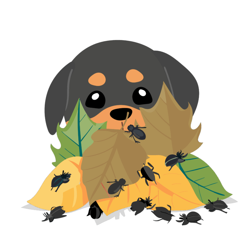 Illustrated dog sitting among leaves.