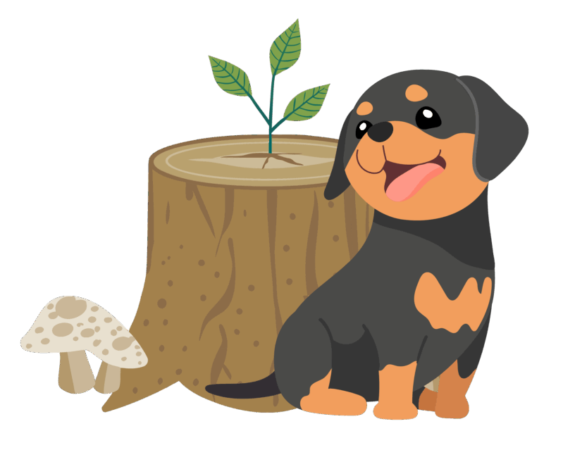 Illustrations of a puppy sitting beside a stump with a new tree growing out of the top