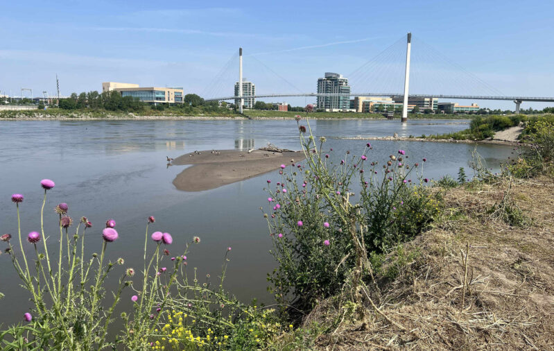 Photo of the Missouri River from River's Edge Park in Council Bluff's Iowa showing the pedestrian bridge and Canadian Geese sitting on sandbar in the river.