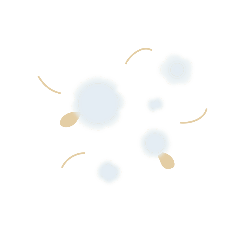 Soft abstract seeds and cottonwood fluff on a light background.