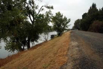Gravel path along a levee beside a river lined with trees.